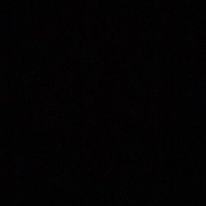 Meet your Posher, Randi